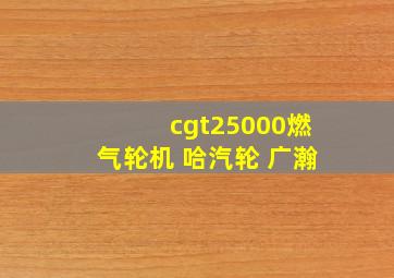 cgt25000燃气轮机 哈汽轮 广瀚